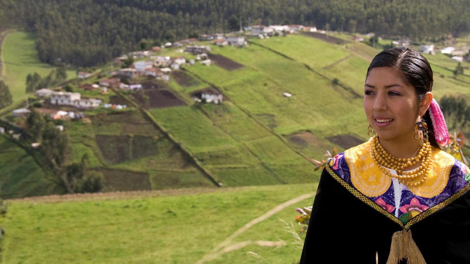 Banner image of The Ecuador Experience
