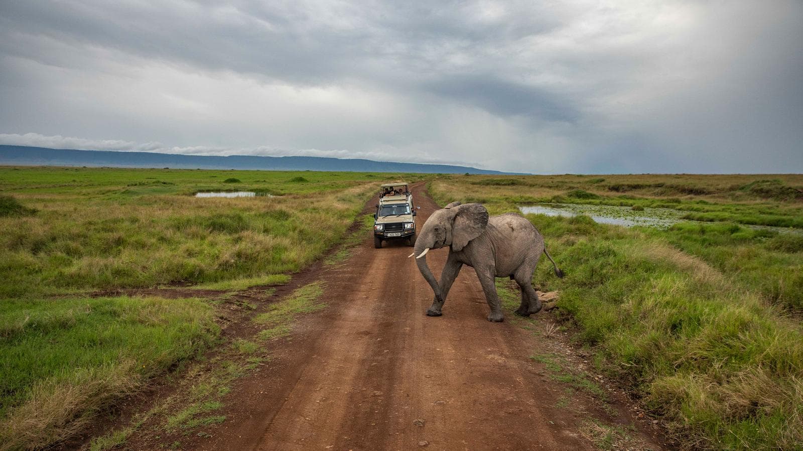 Banner image of Kenya to Zimbabwe Overland Safari & Participation Camping