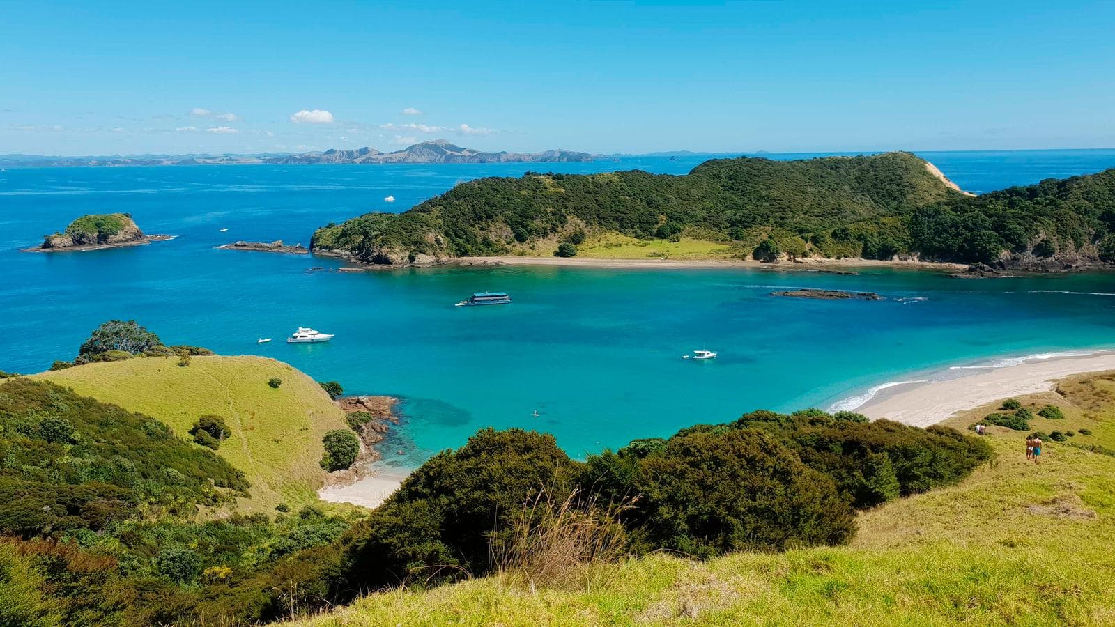 Banner image of New Zealand: The Bay of Islands