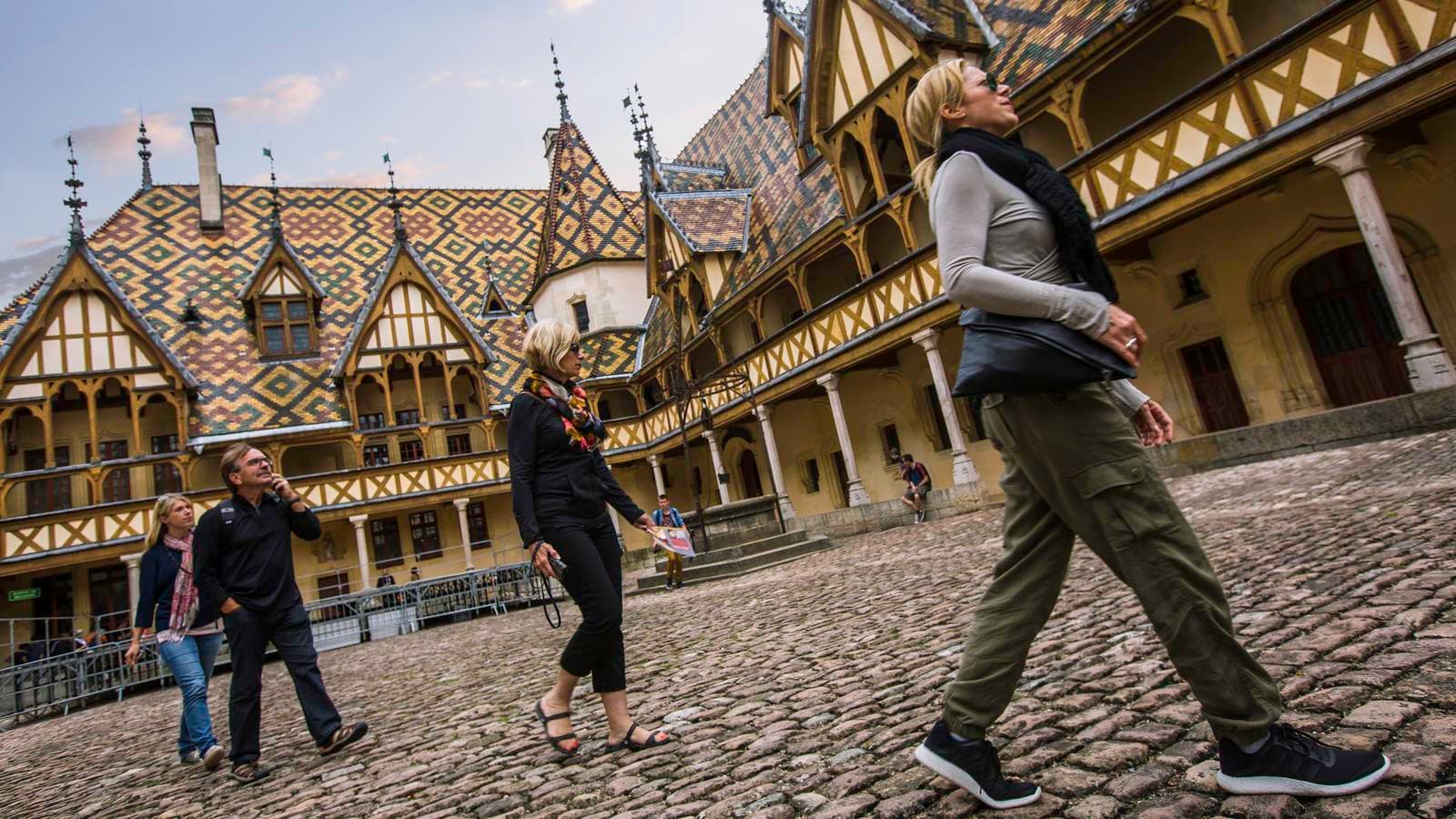 Banner image of Walking the Vineyards of Burgundy