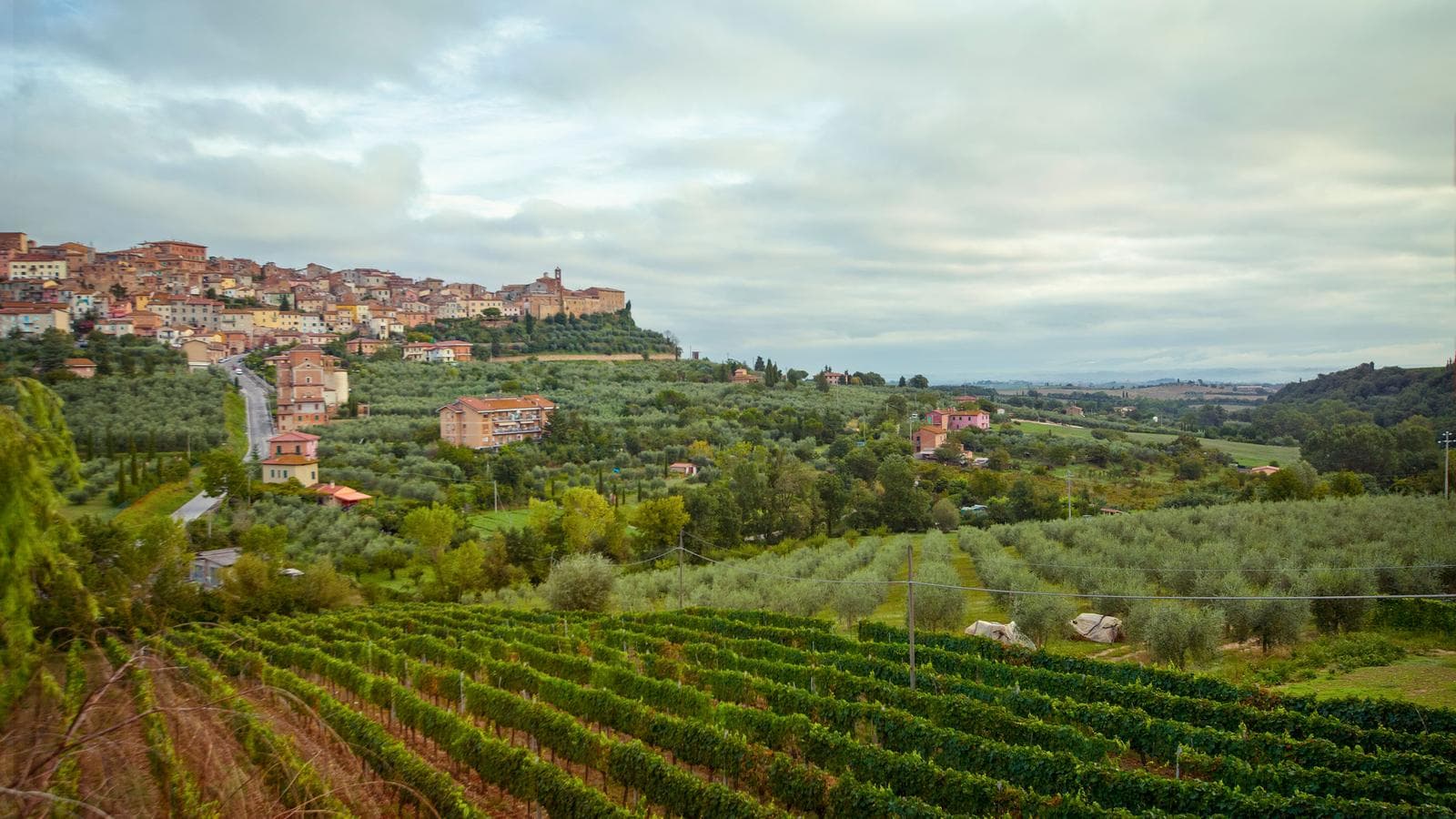 Banner image of Tuscany to Cinque Terre: Wines, Villages & Unforgettable Walks