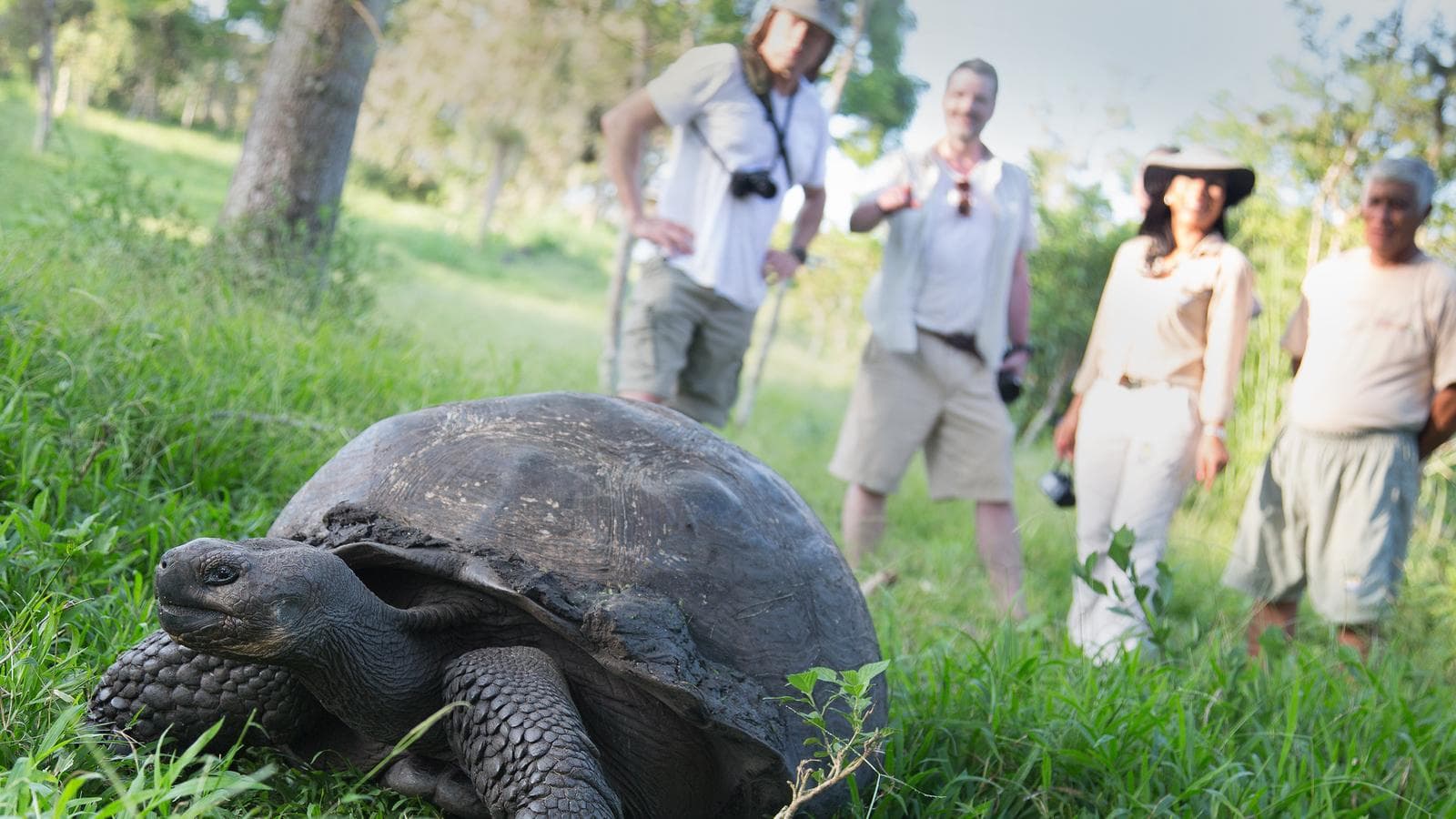 Banner image of Galápagos Island Hopping with Quito