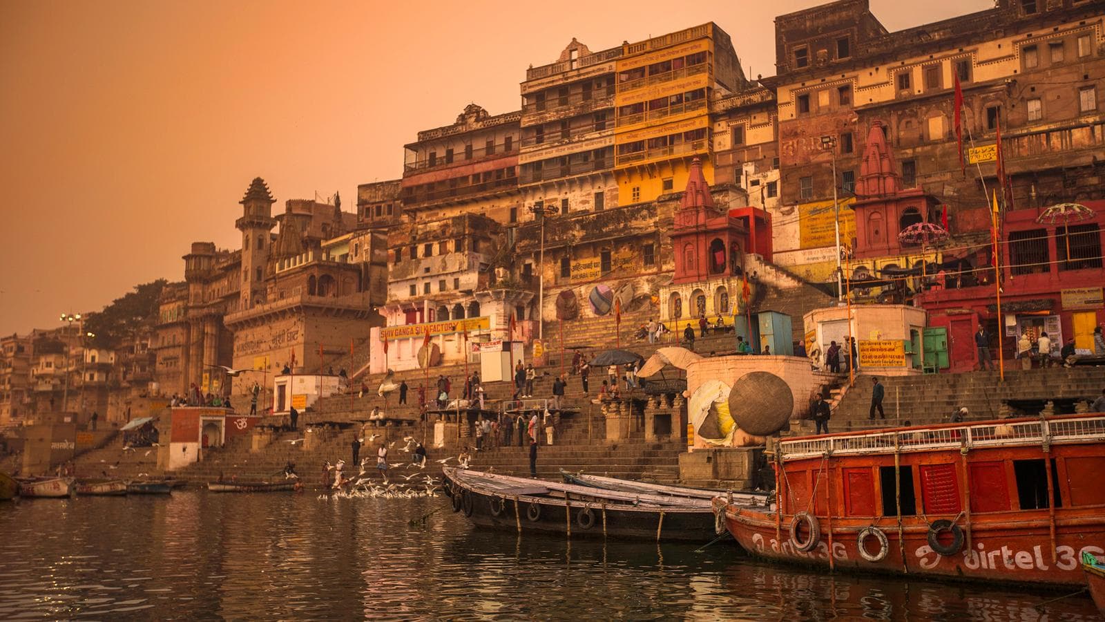 Banner image of Ultimate India by Rail