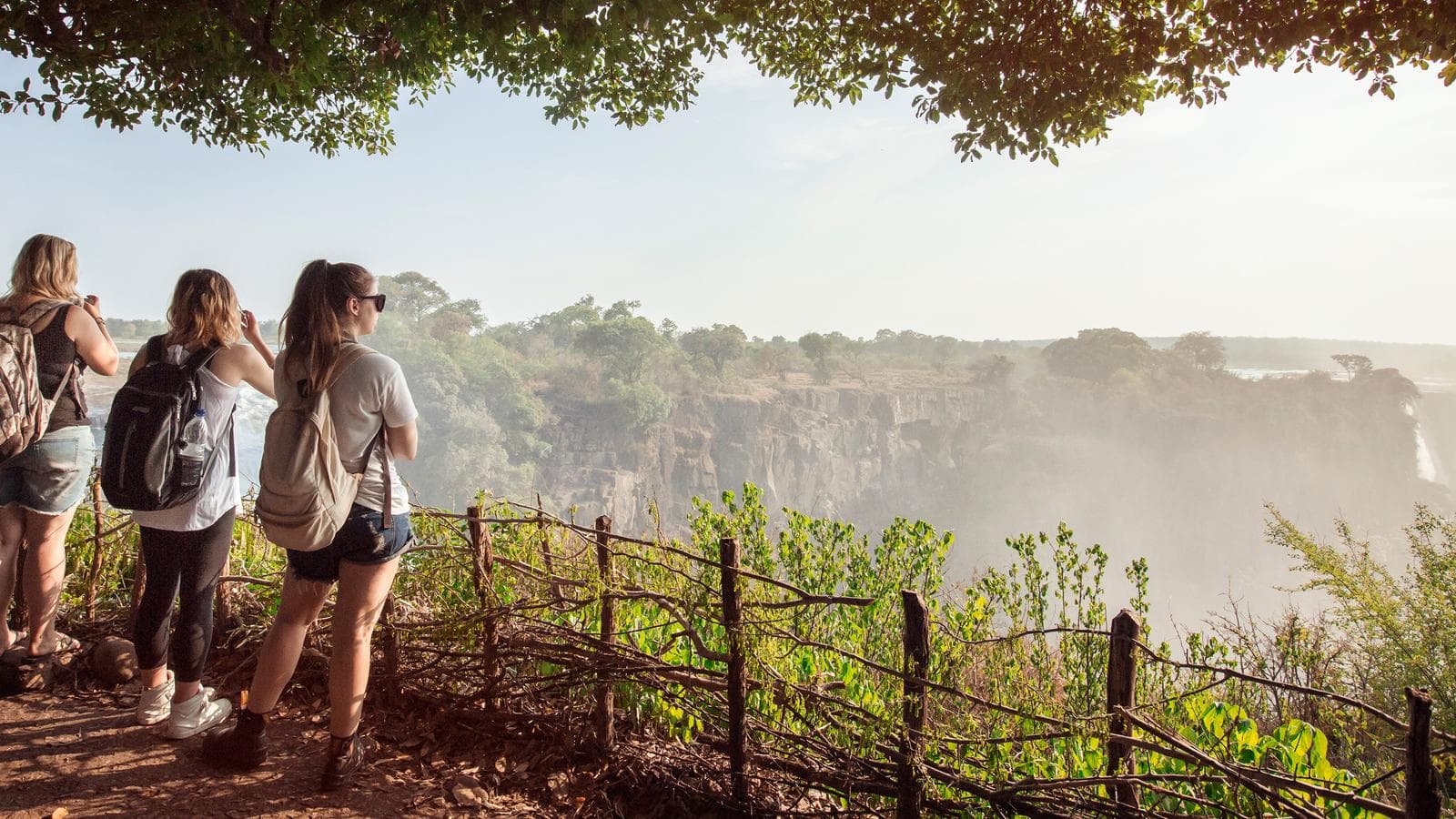 Banner image of Cape Town to the Serengeti: Deserts & Wilderness