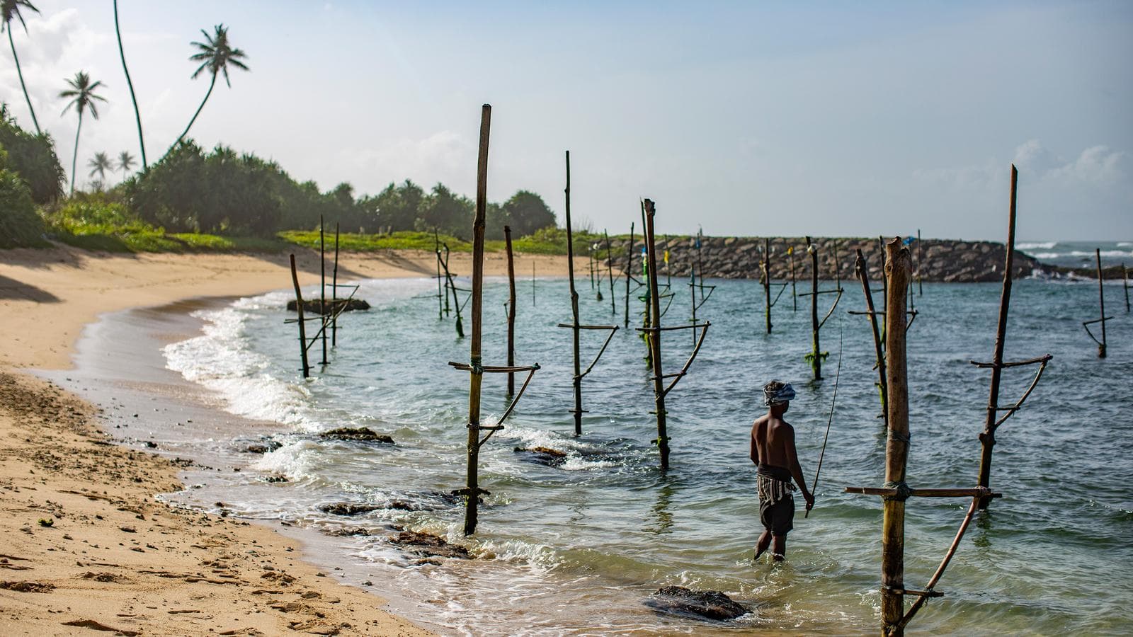Banner image of Sri Lanka Encompassed — Plus