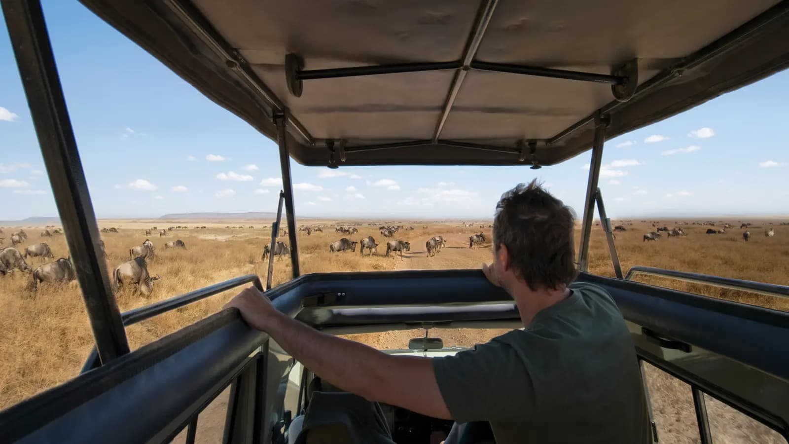 Banner image of Unforgettable Kenya: Masai Mara & Lake Nakuru