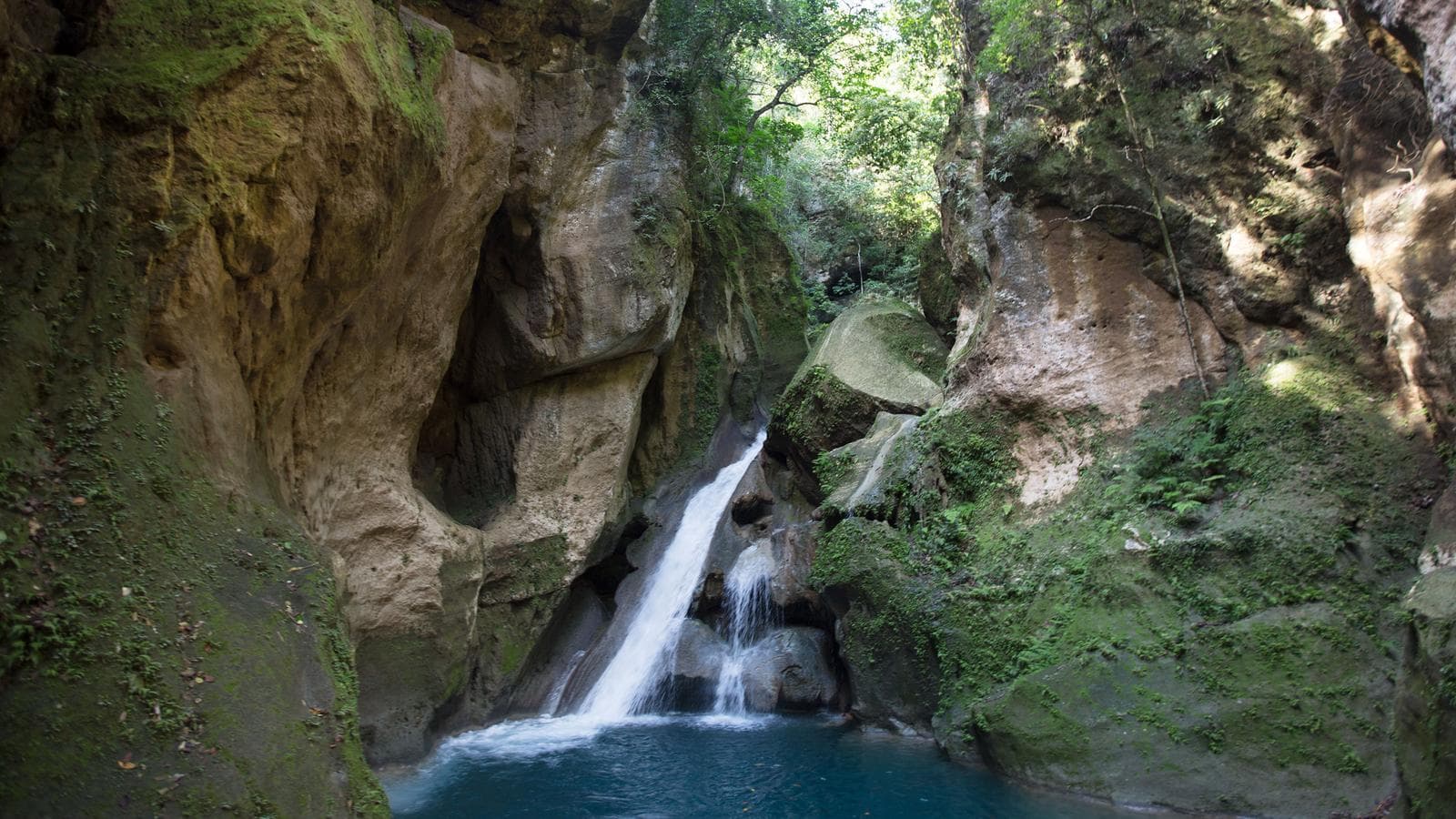 Banner image of Highlights of Haiti
