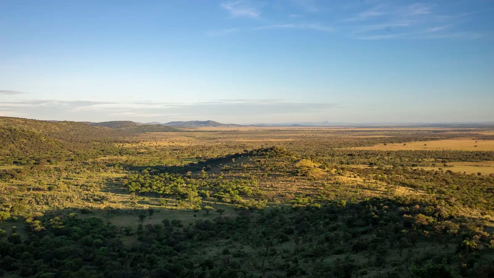 Banner image of Kenya and Tanzania: Safari Adventures & Coastal East Africa