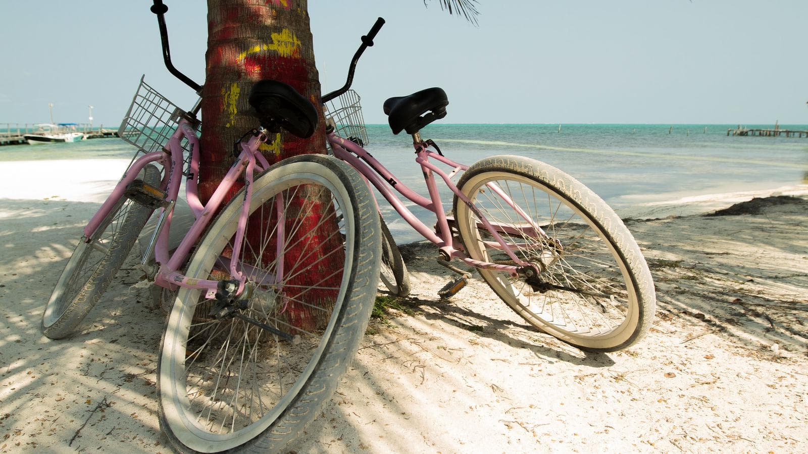 Banner image of Belize Upgraded