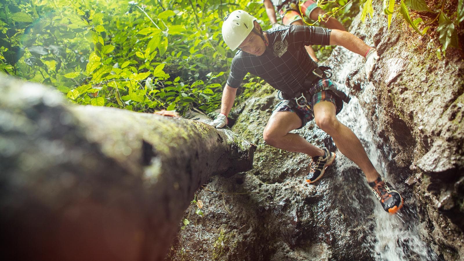 Banner image of Experience Costa Rica Independent Adventure