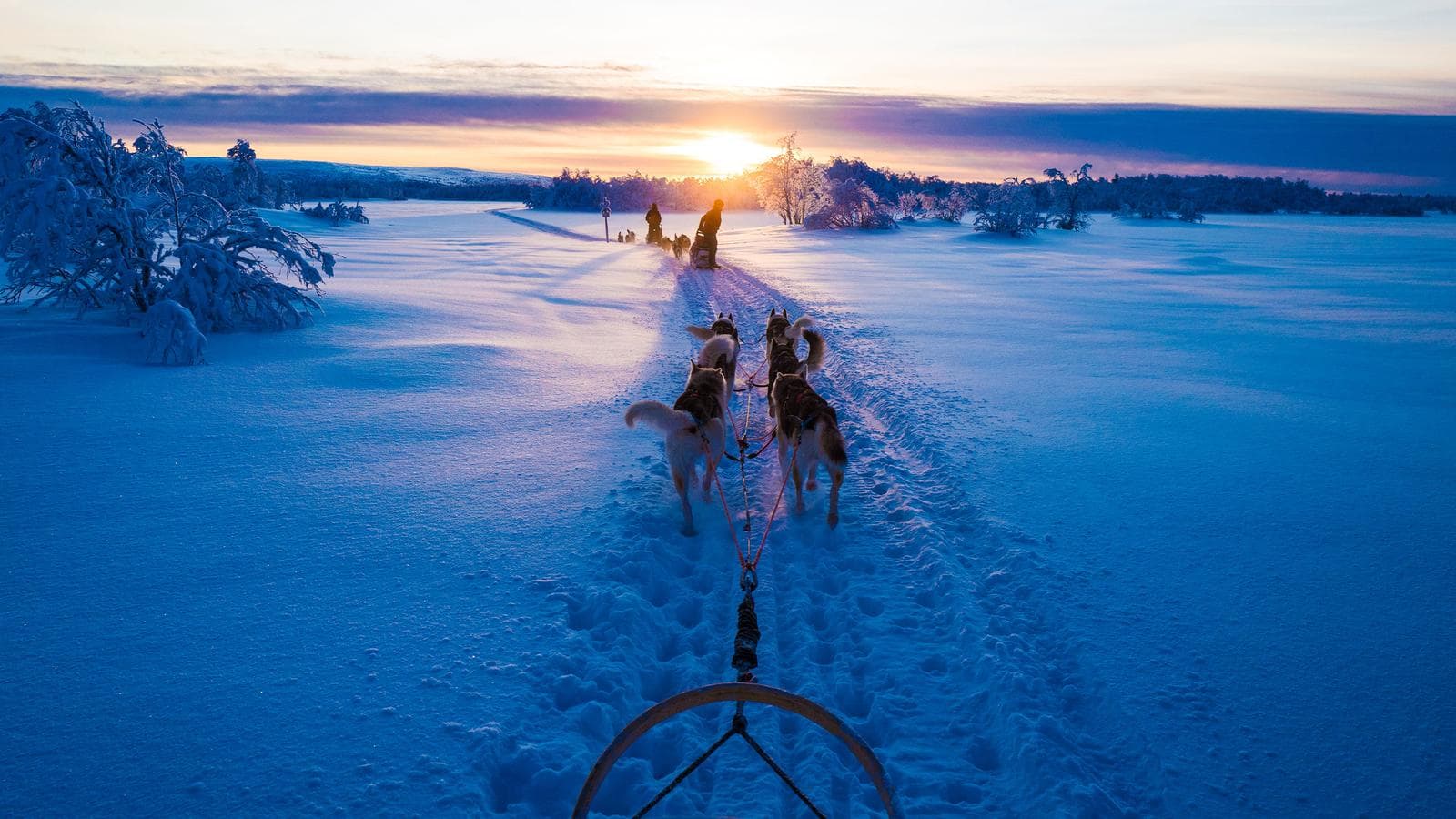 Banner image of Winter in Finland: Lapland & Northern Lights