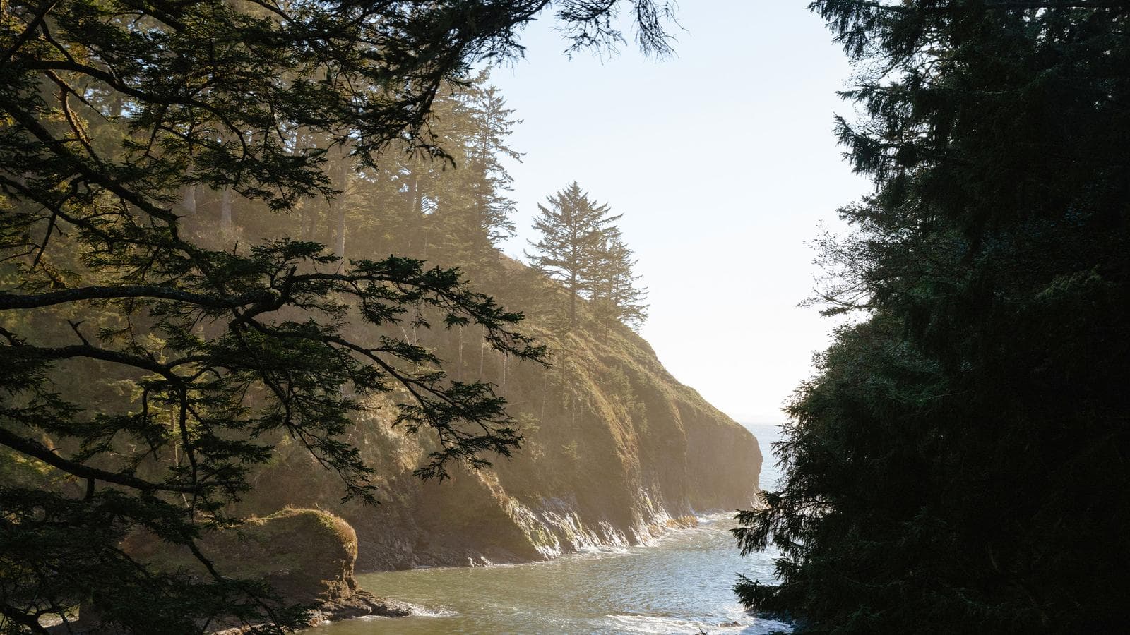 Banner image of Canadian Rockies & Pacific Northwest Adventure