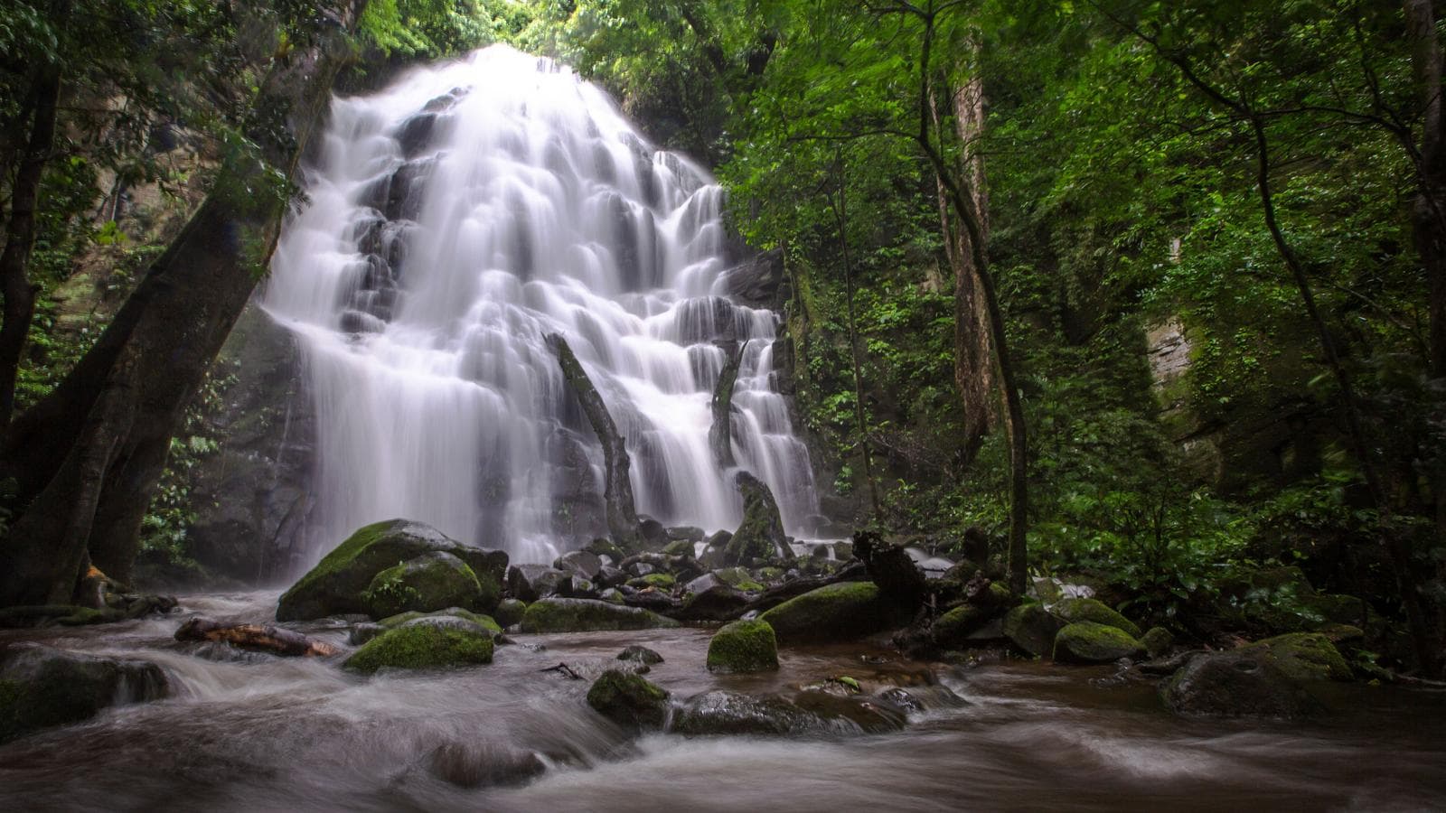 Banner image of Costa Rica: Rio Celeste & Rincon de la Vieja