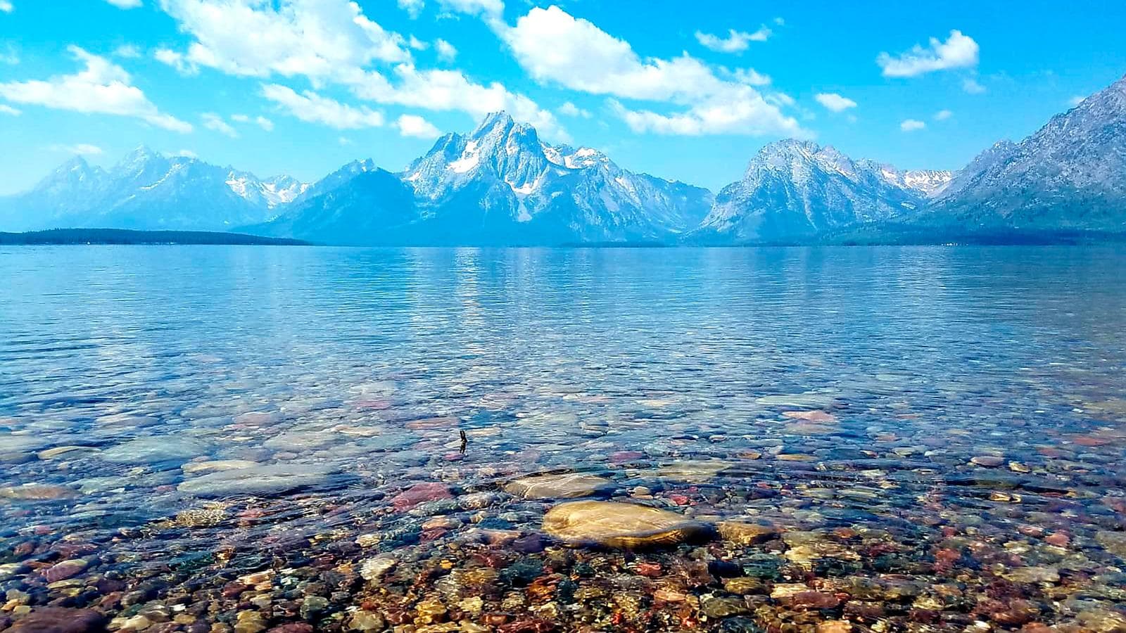 Banner image of National Parks of the Northwest U.S.