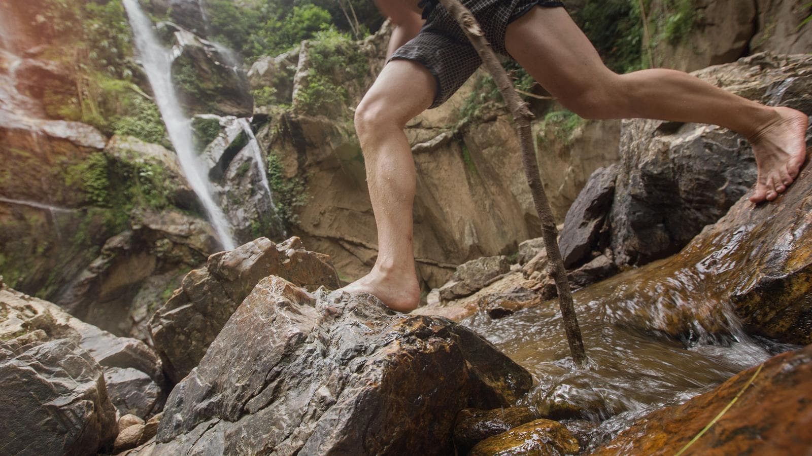 Banner image of Thailand Experience