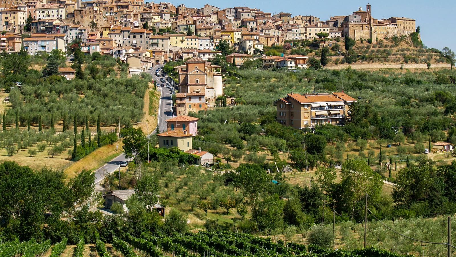 Banner image of Wellness Italy - Rome & Tuscany