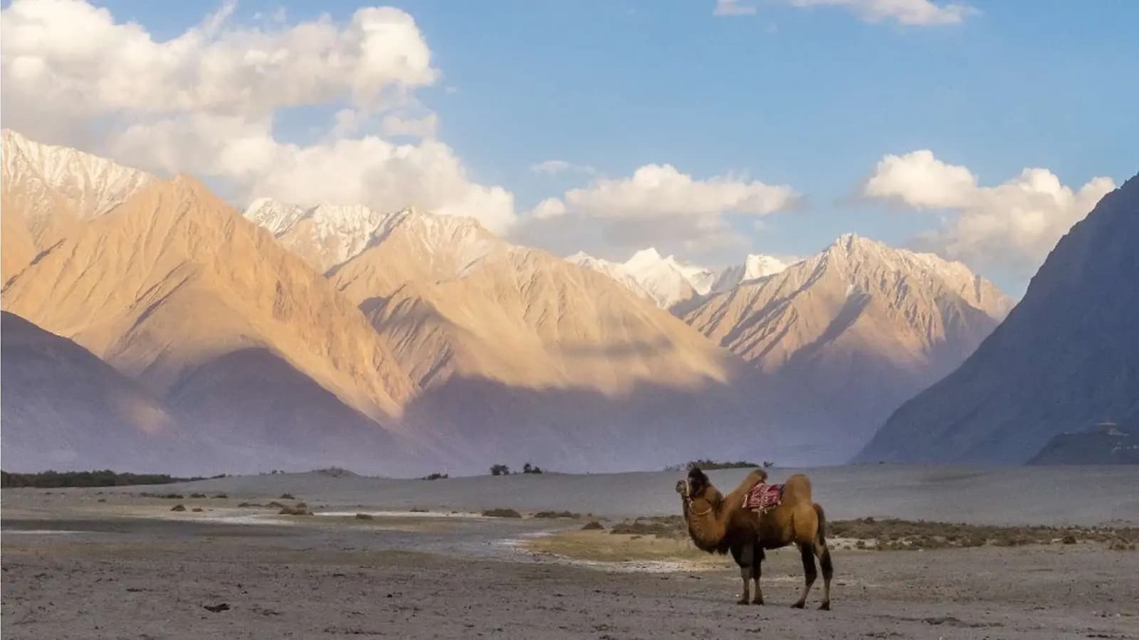 Banner image of Northern India & Himalayan Trails