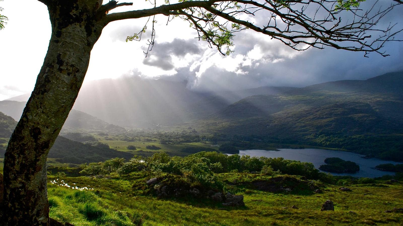 Banner image of Highlights of Ireland — Plus