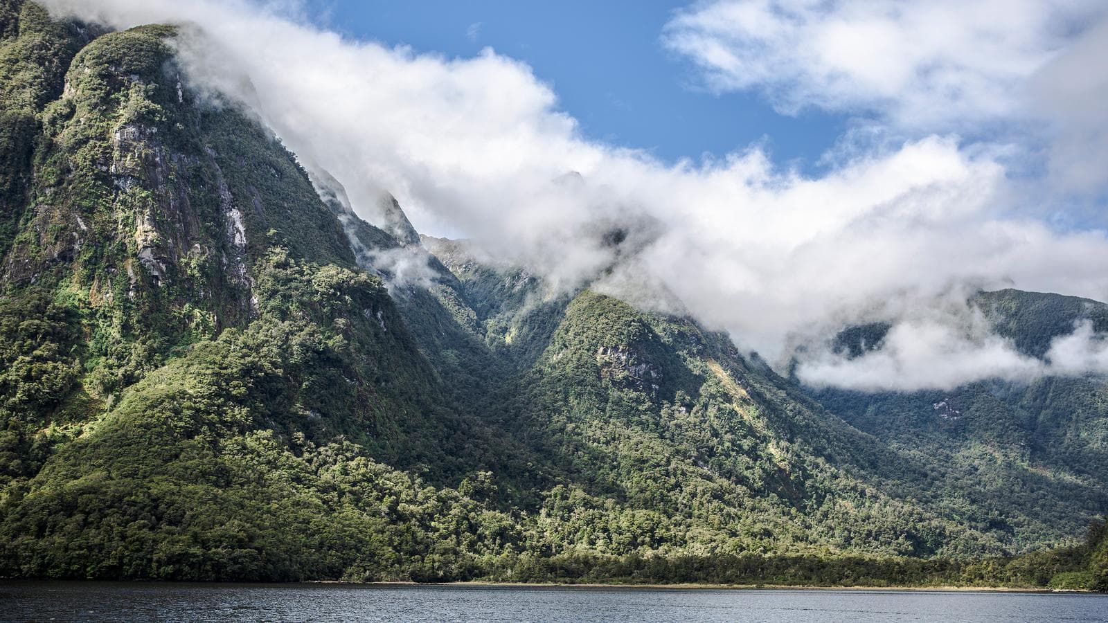 Banner image of Explore Australia & New Zealand