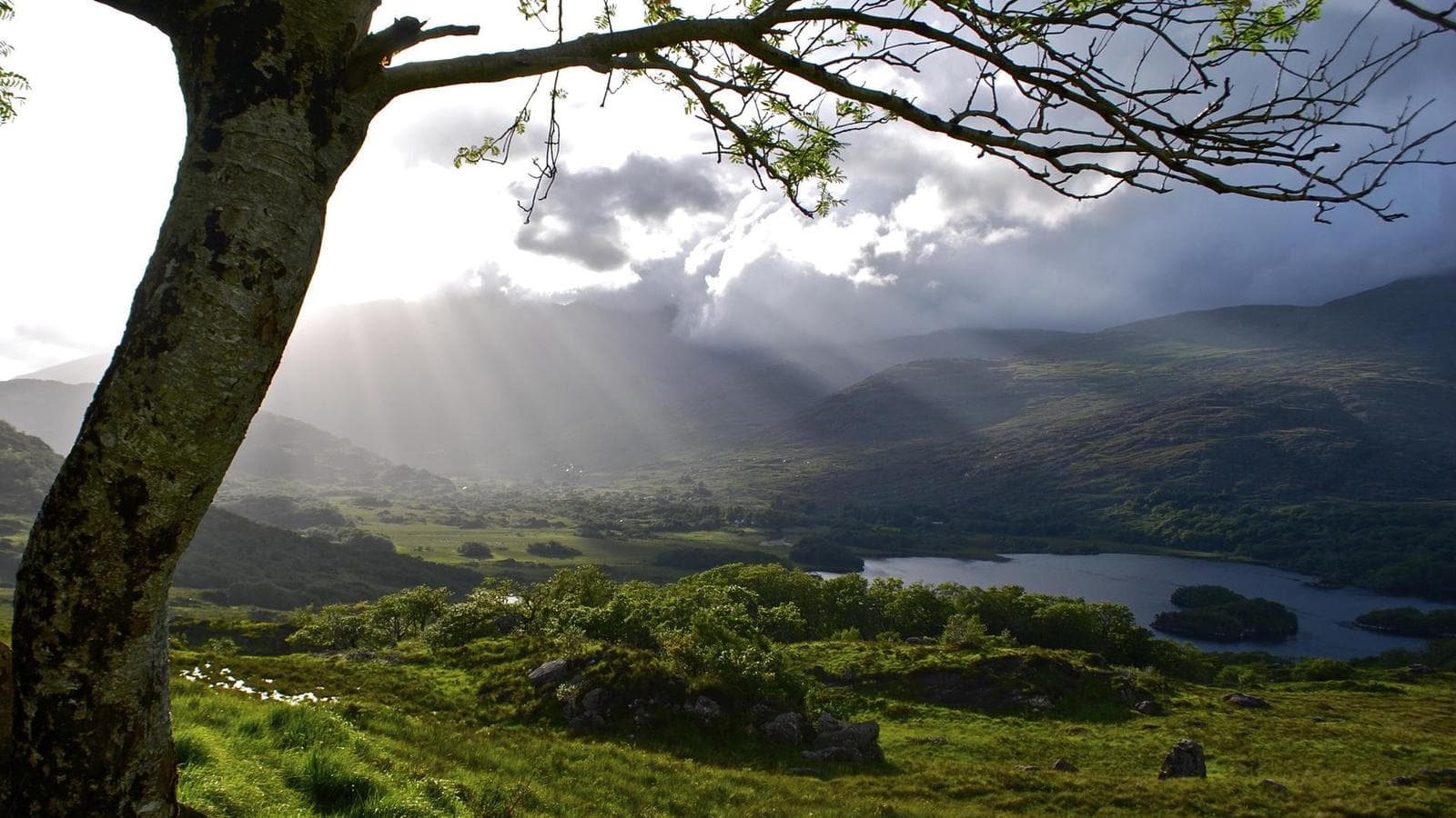 Banner image of Ireland: Coastal Hikes, The Beara Peninsula & Killarney National Park