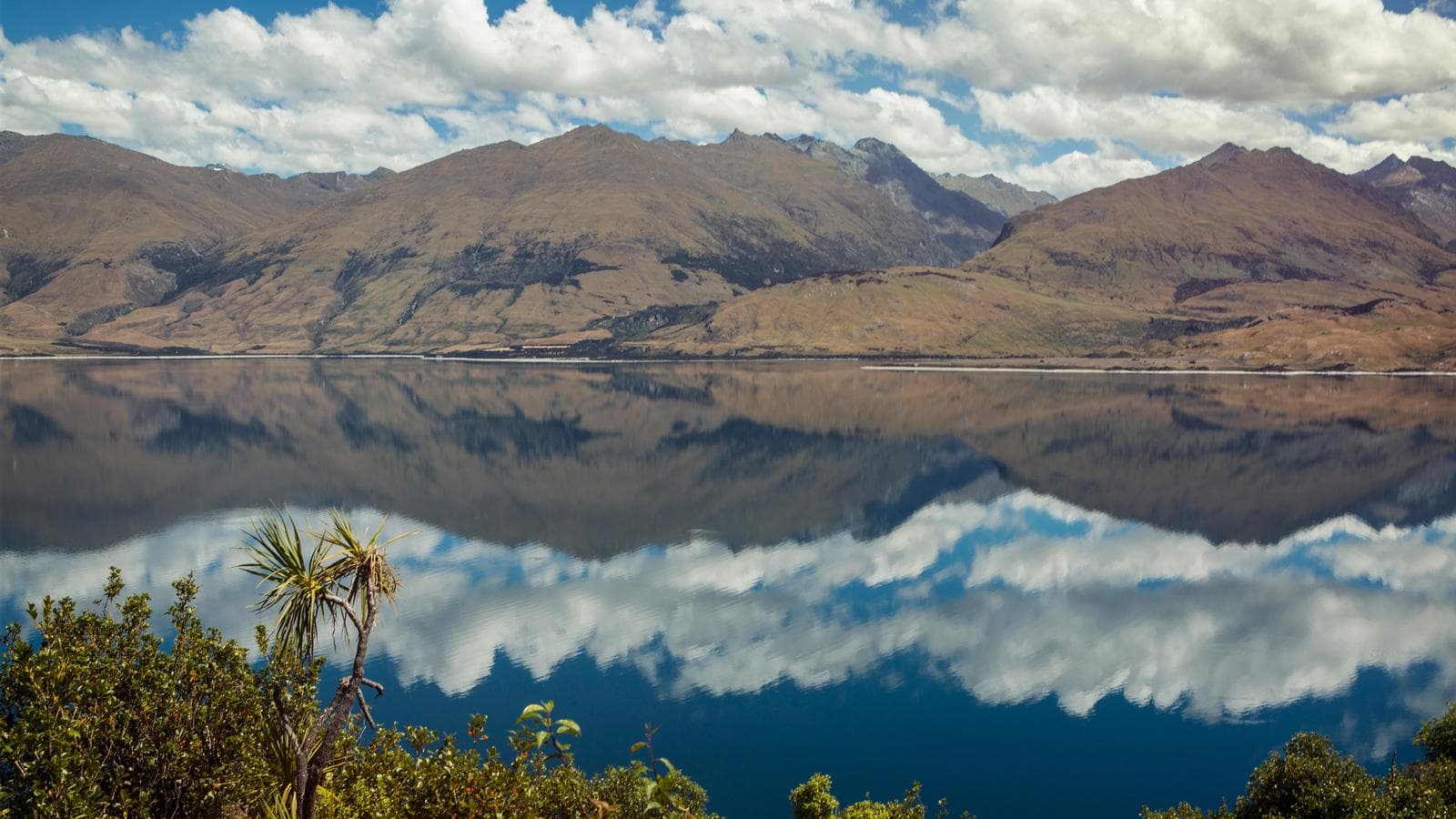 Banner image of Australia & New Zealand Discovery — Plus