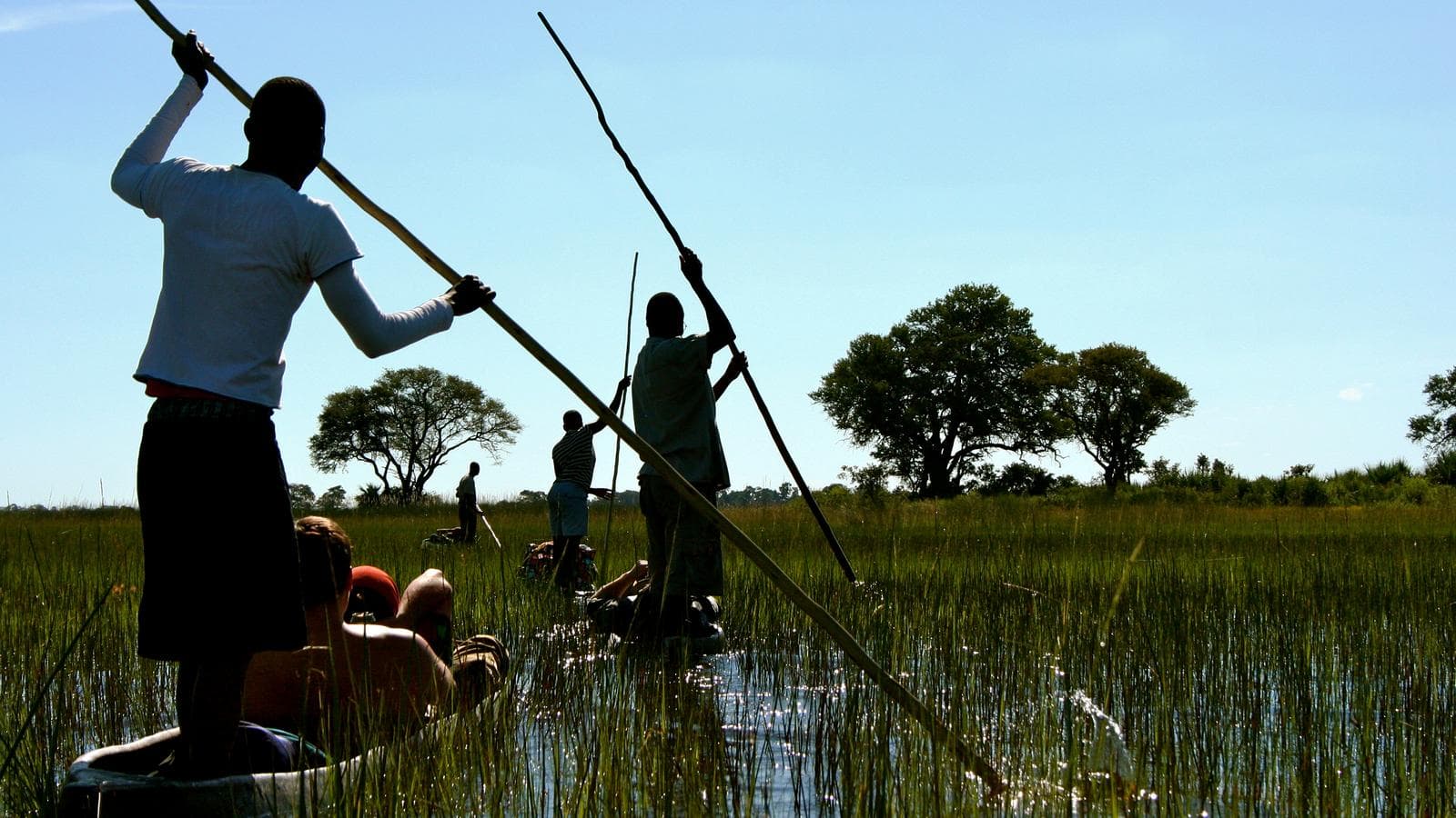 Banner image of Delta & Falls Eastbound: Baobab Trees & River Views