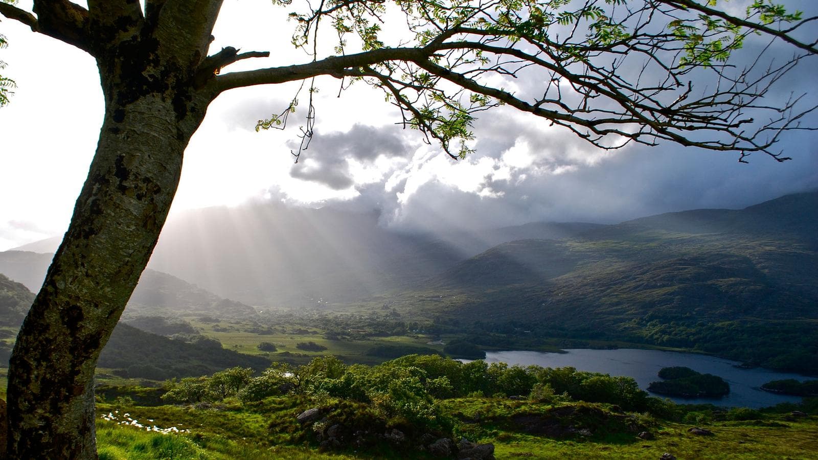 Banner image of Iconic Ireland Adventure