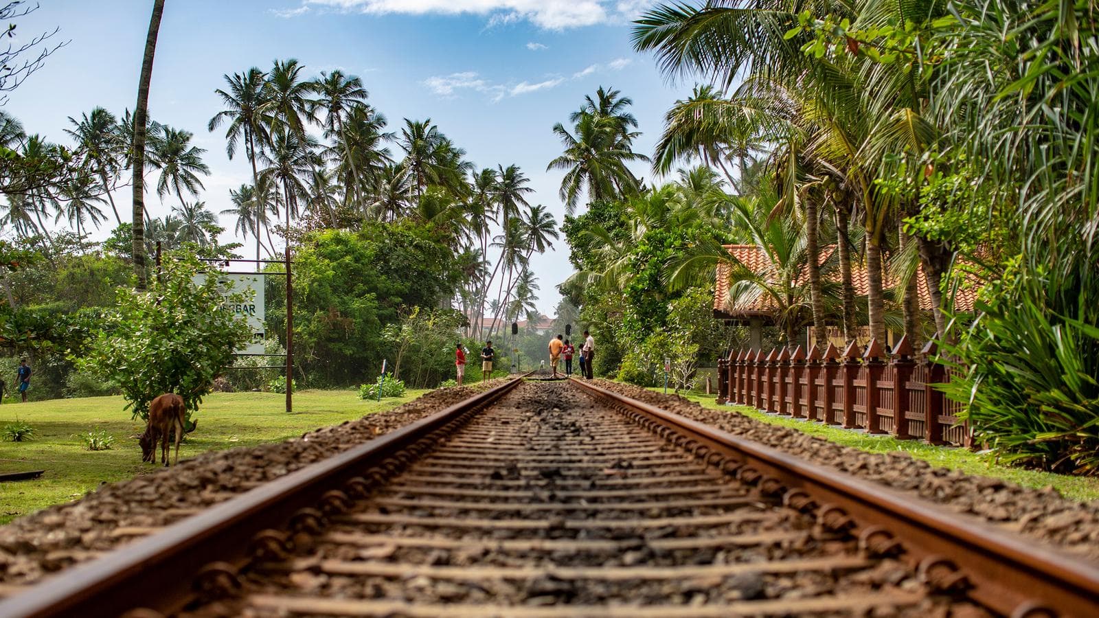 Banner image of Sri Lanka Land & Sea