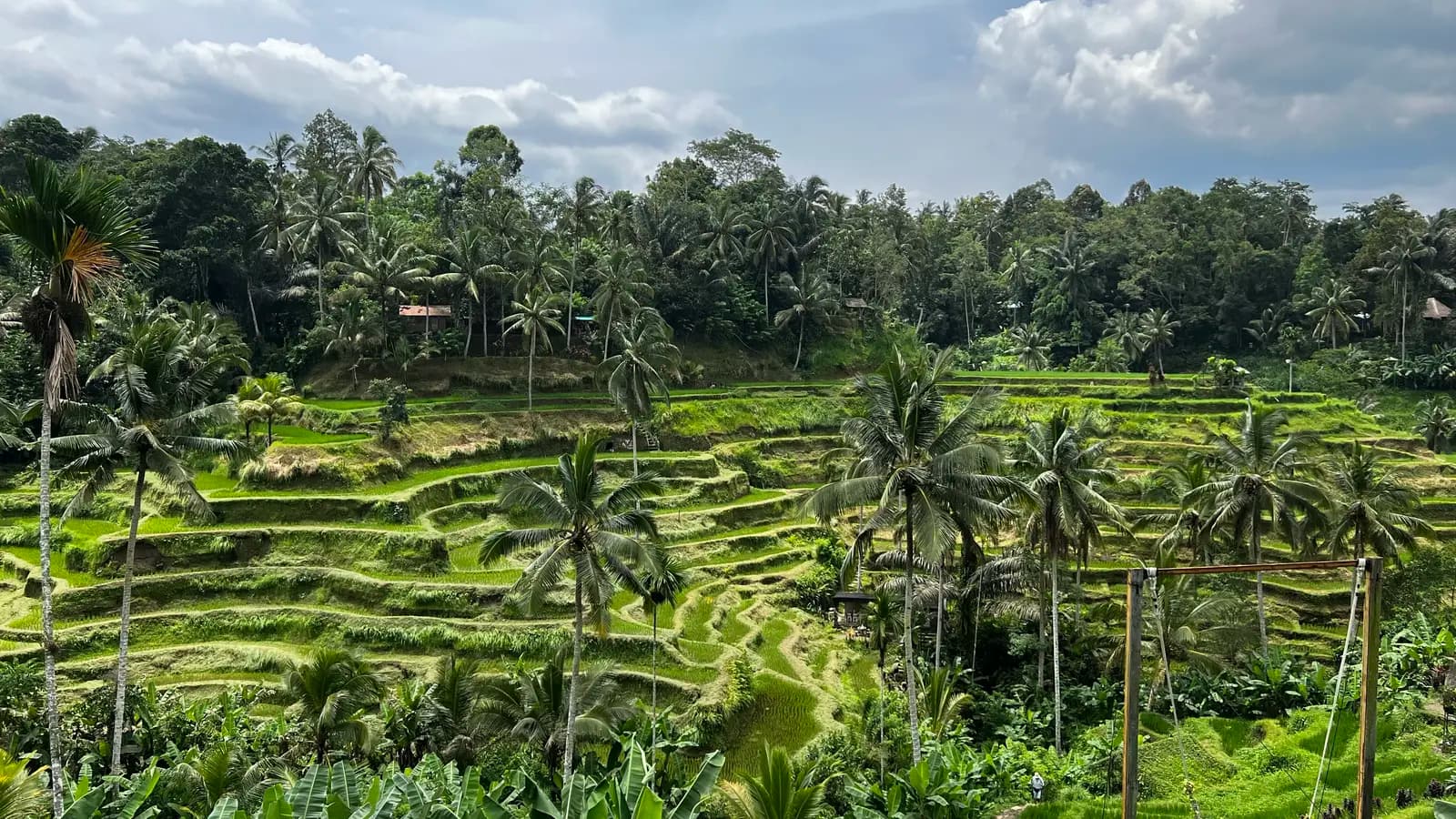 Banner image of Bali's Wild Heart: Soul, Surf & Spirit