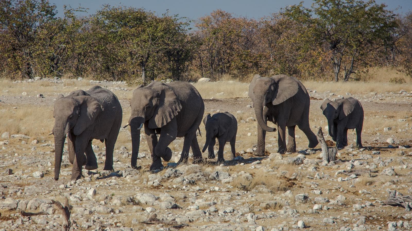 Banner image of Delta & Falls Westbound: Natural Wonders & Wildlife