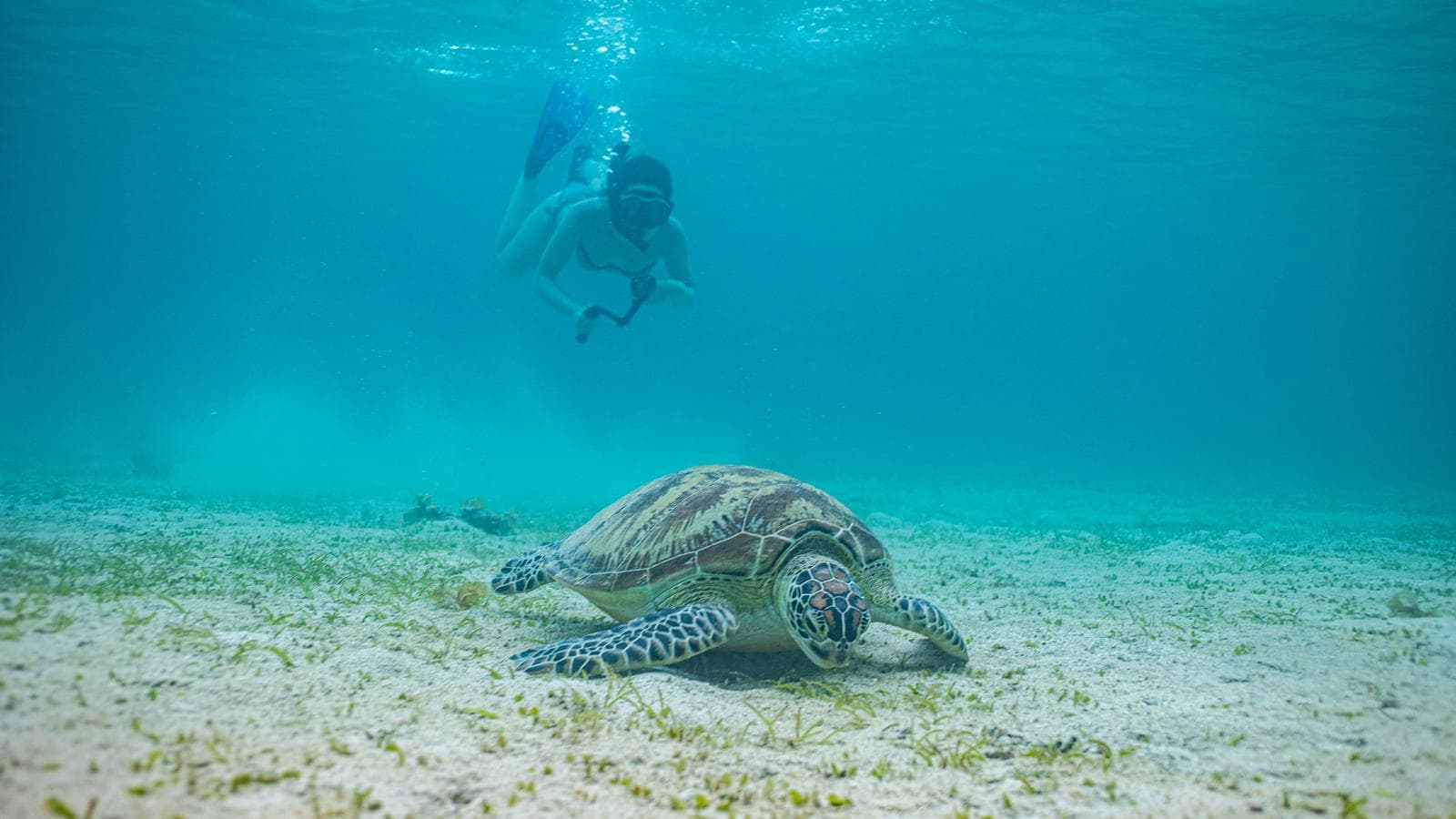 Banner image of Philippines Palawan Adventure