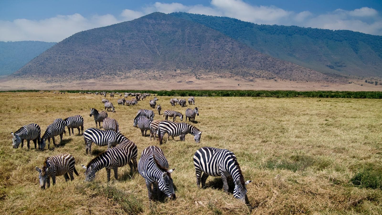 Banner image of Tanzania & Zanzibar Adventure