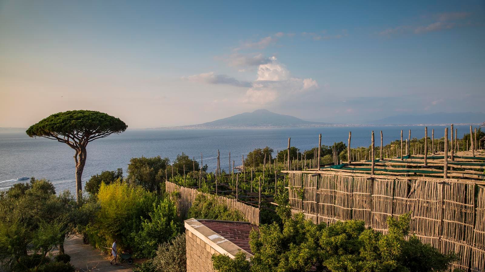 Banner image of Local Living Italy—Sorrento