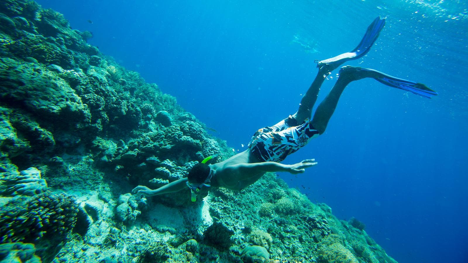 Banner image of Active Bali