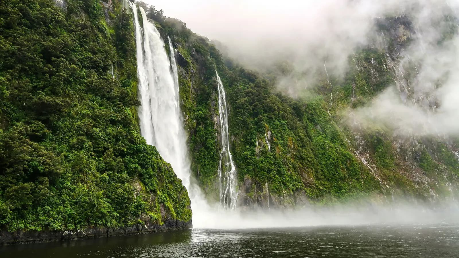 Banner image of Signature: New Zealand, Milford Sound & Maori Culture