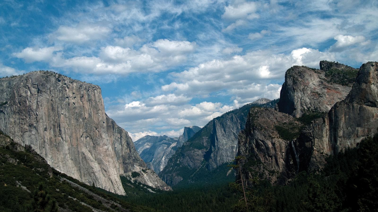 Banner image of California National Park Discovery
