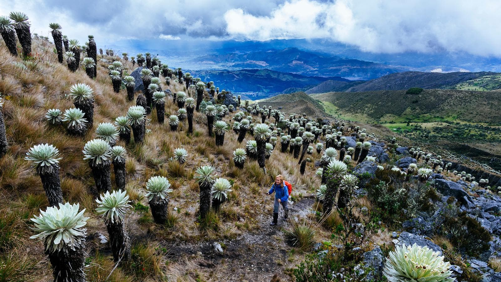 Banner image of Colombia Multisport