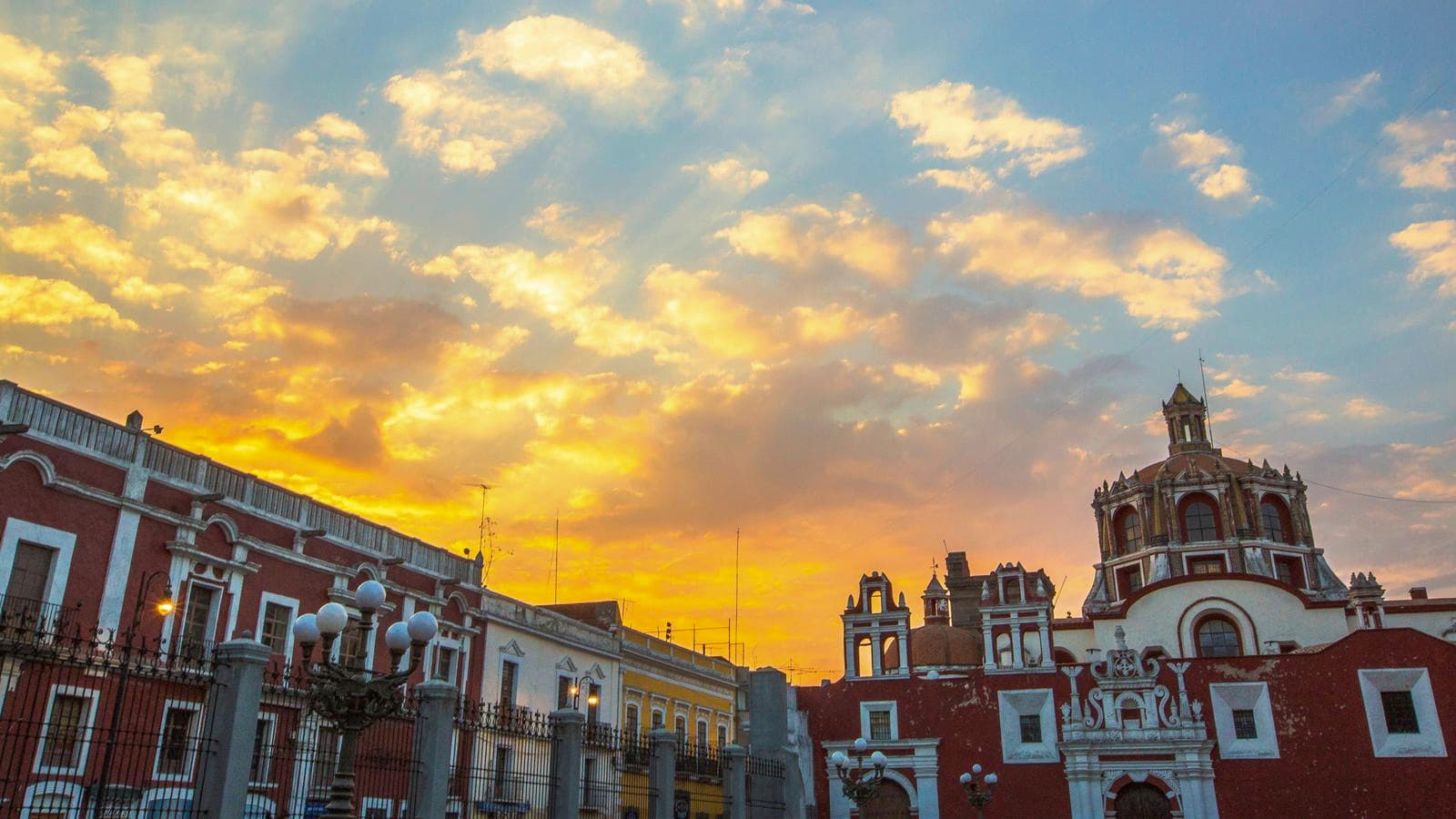Banner image of Central Mexico: Oaxaca to Mexico City