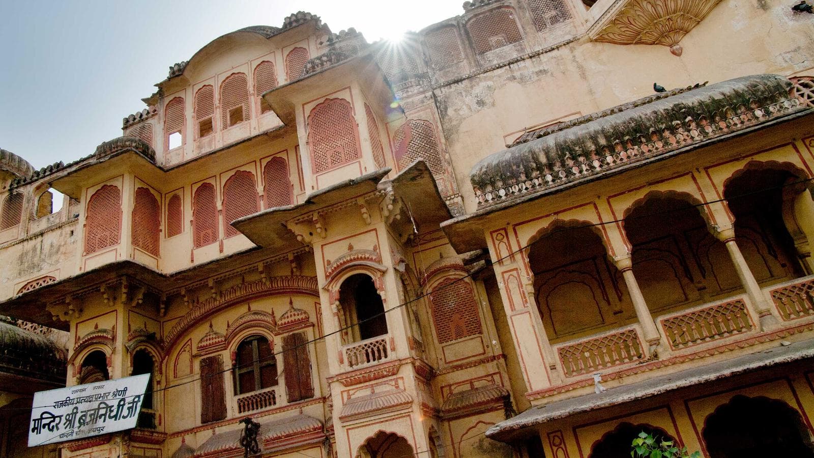 Banner image of Golden Triangle — Plus