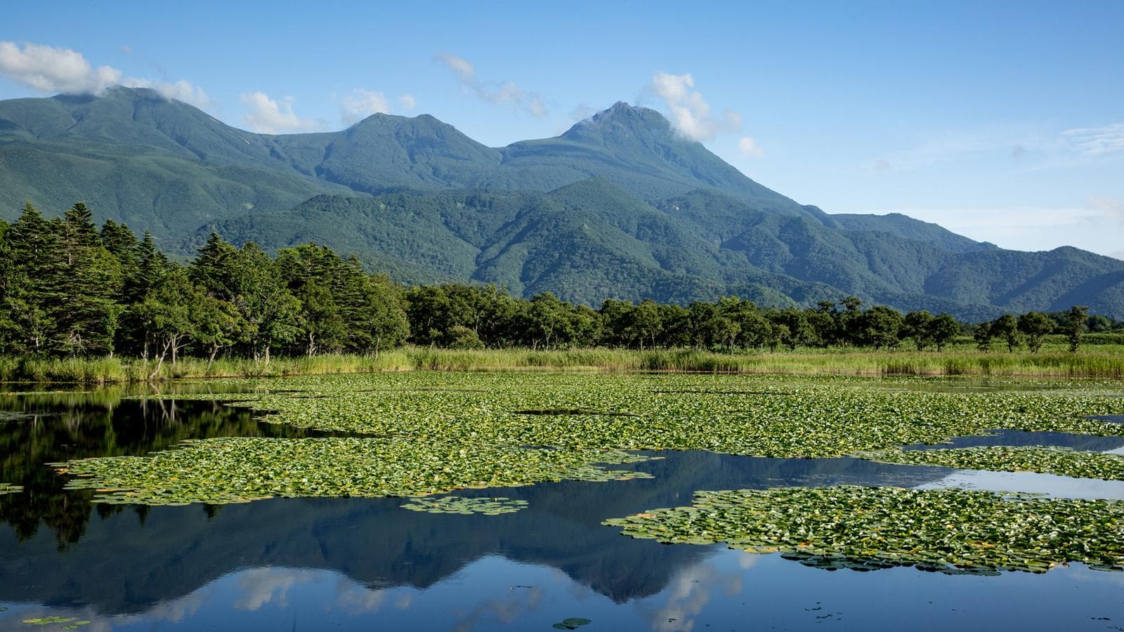 Banner image of Active Japan: Hokkaido Adventure