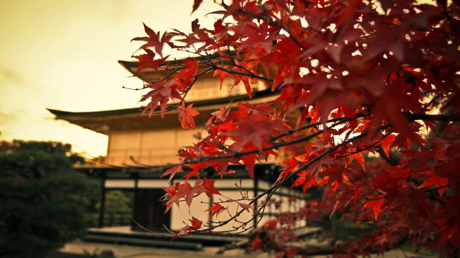 Banner image of Highlights of East Asia: Japan, South Korea, and China