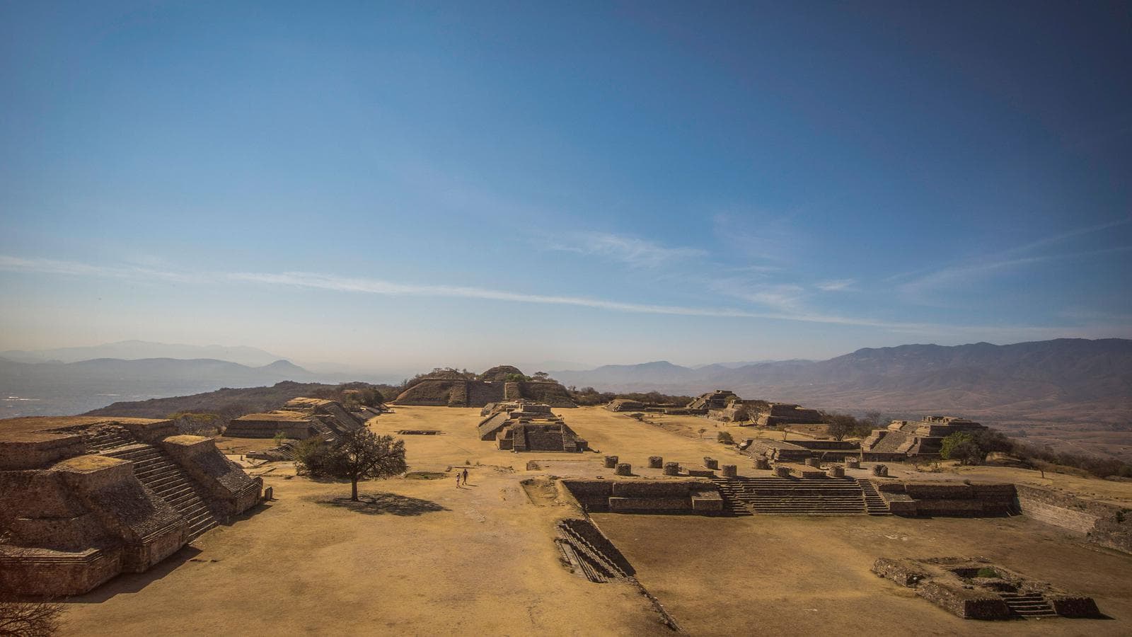 Banner image of Mexico Upgraded