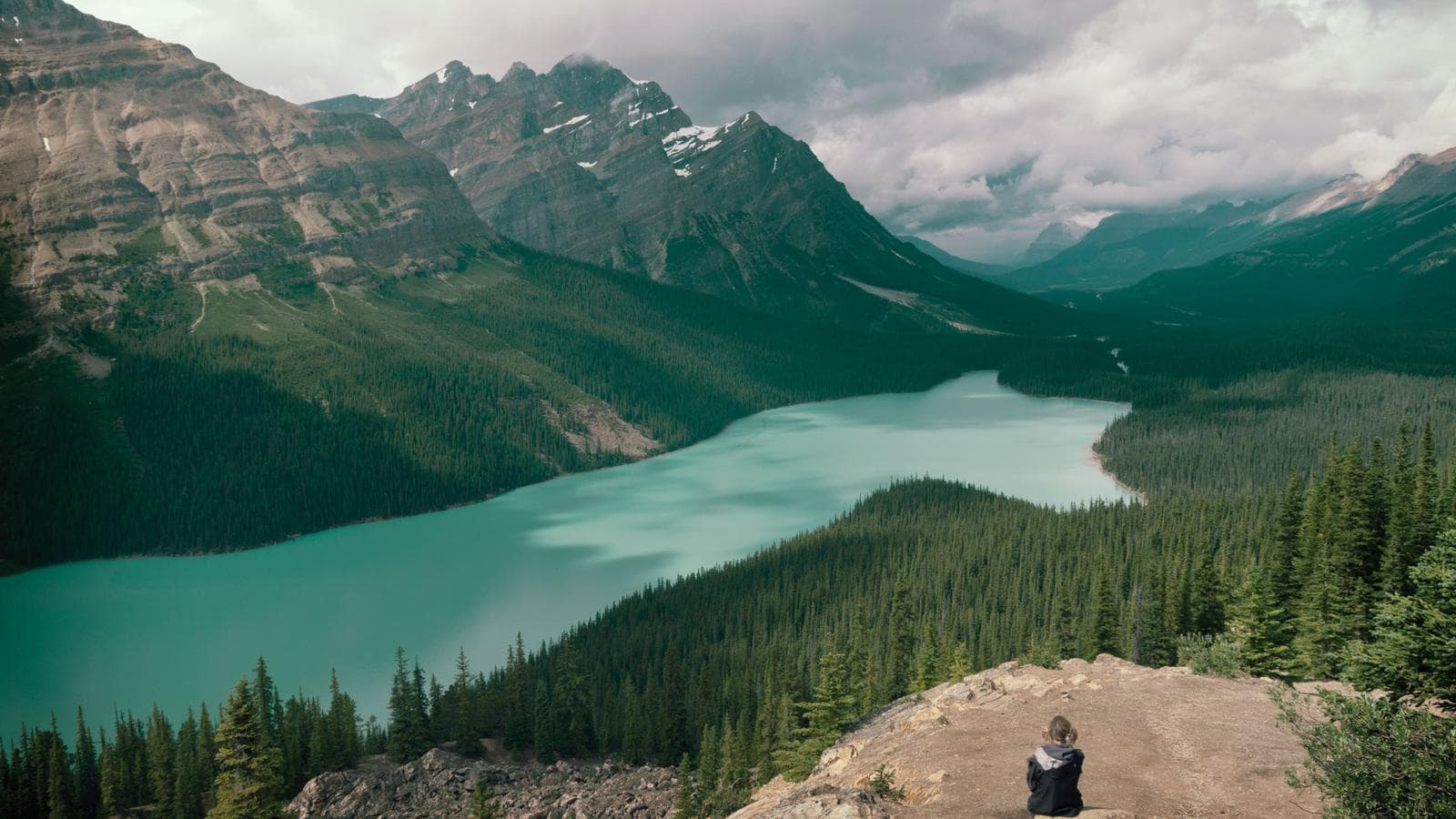 Banner image of Journeys: Discover the Canadian Rockies - Eastbound