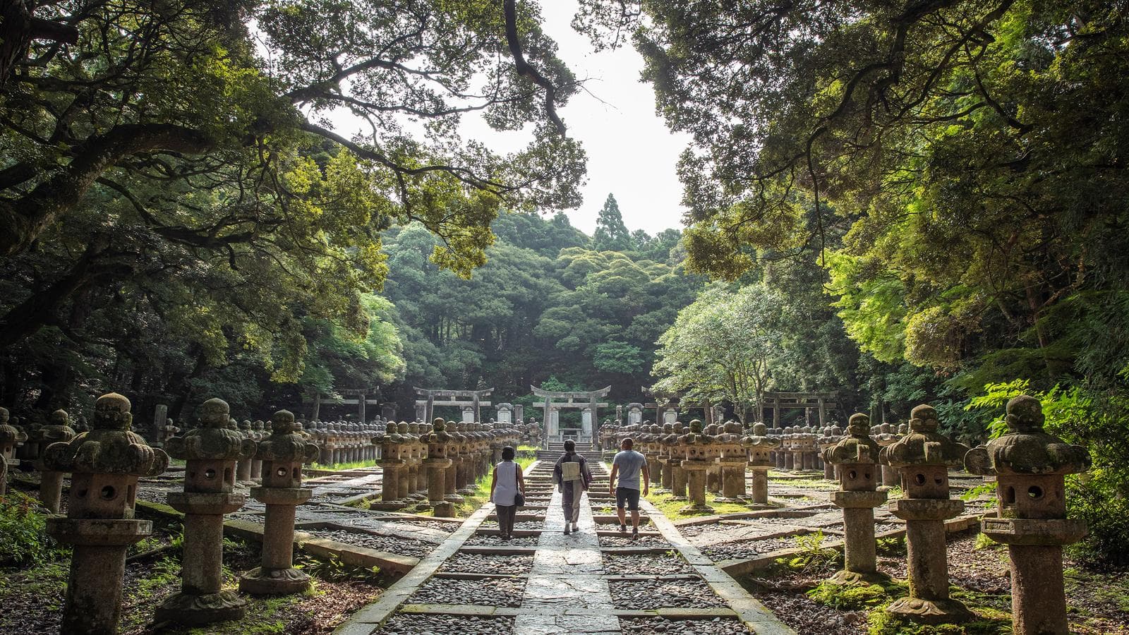 Banner image of Back Roads of Japan