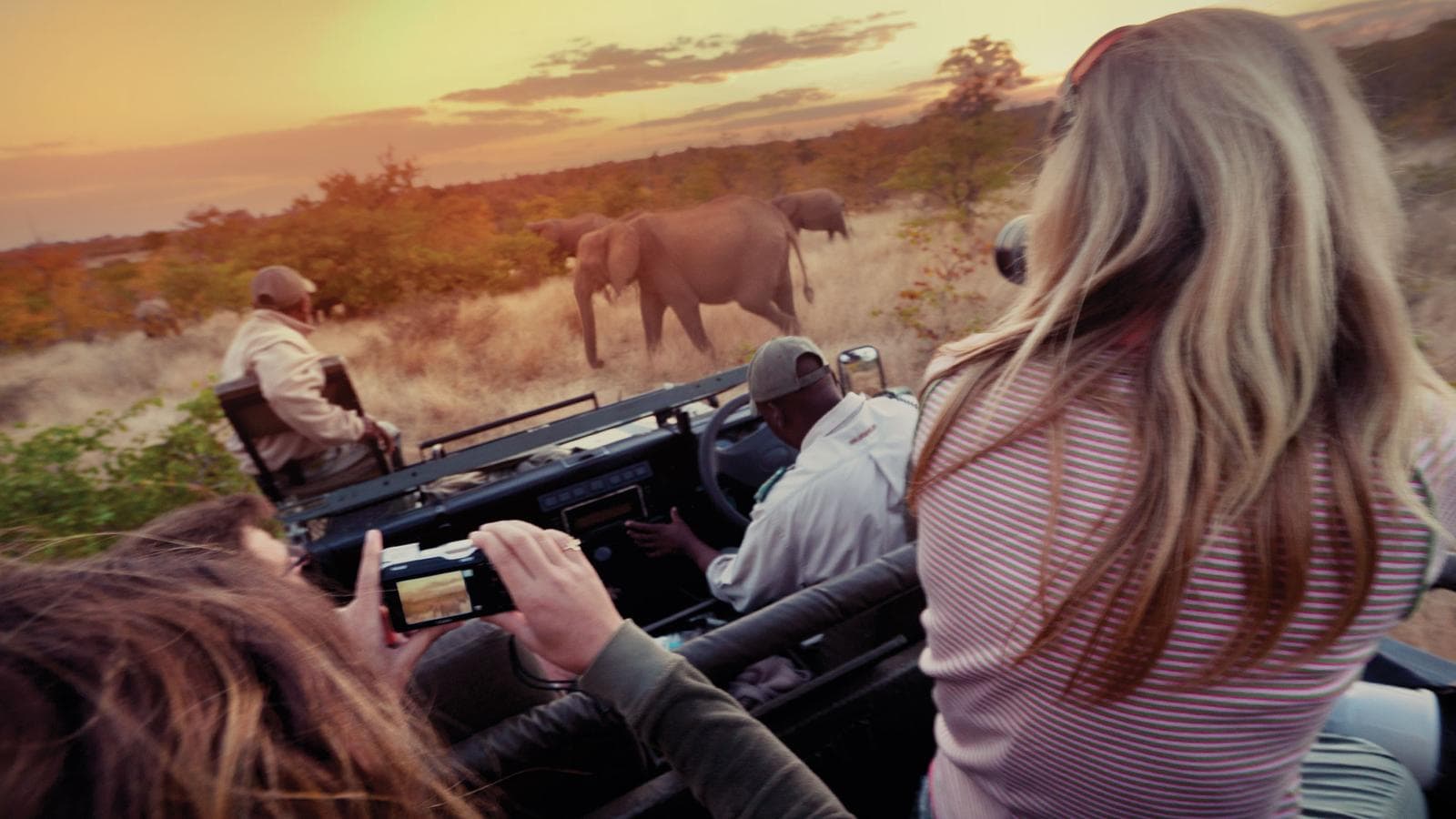 Banner image of Amboseli Safari Experience