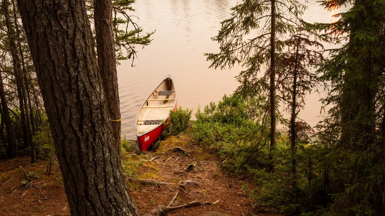 Banner image of Active Canada: Canoeing Quebec's Rivers & Lakes