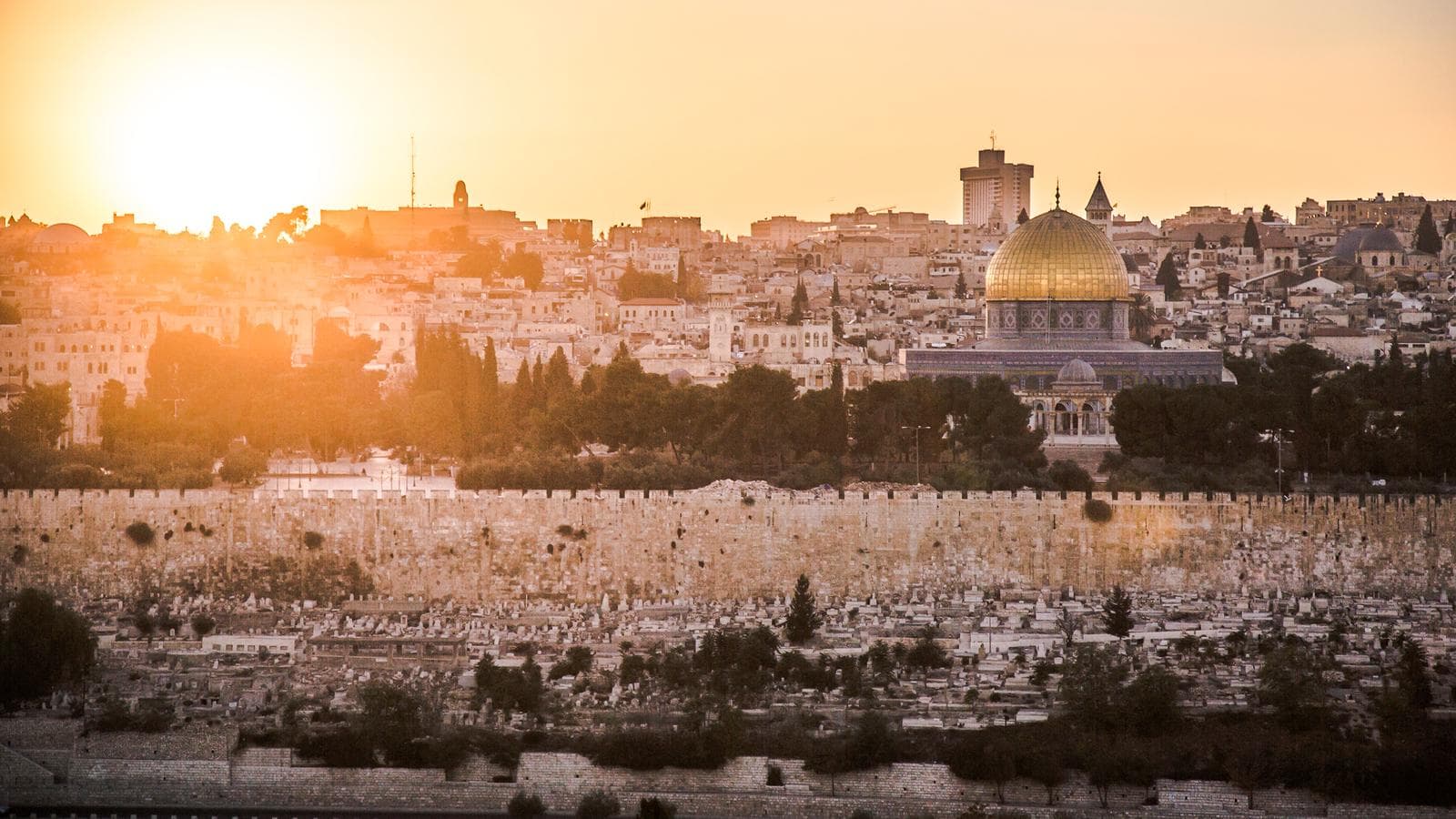 Banner image of Israel and Beyond
