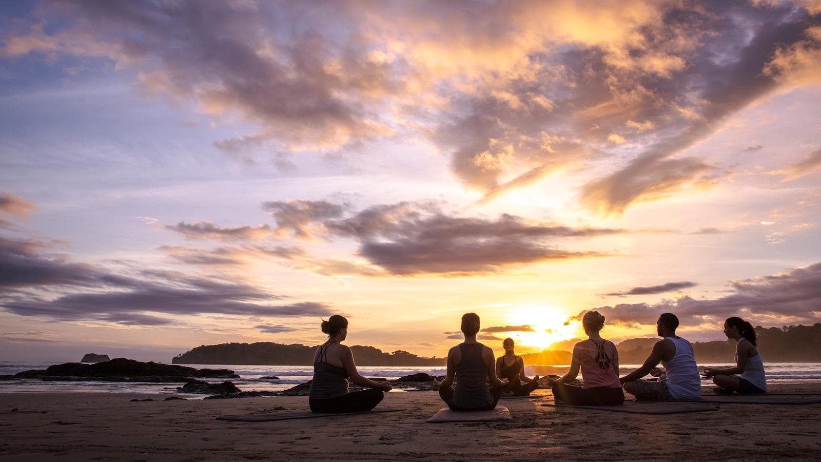 Banner image of Wellness Costa Rica