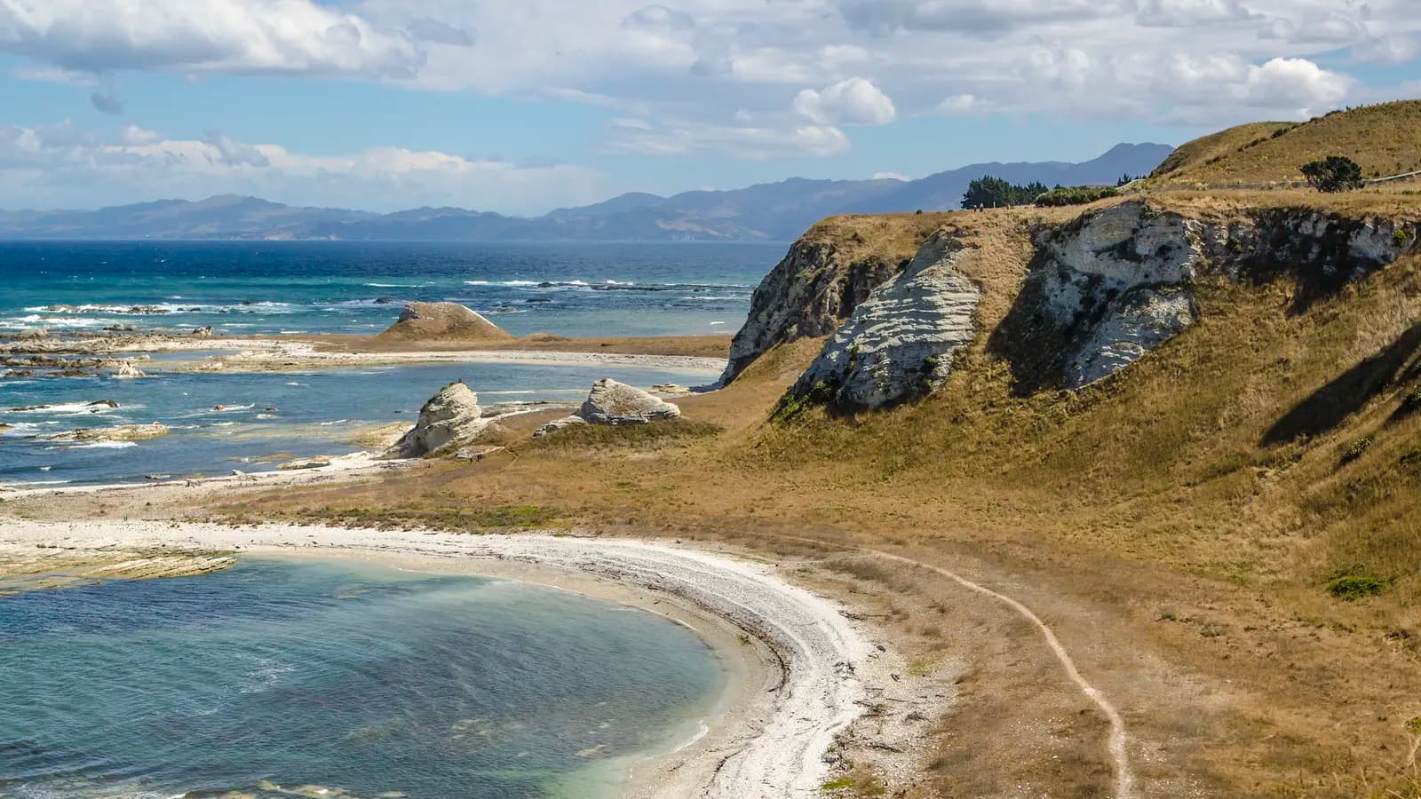 Banner image of Solo-ish Down-Under