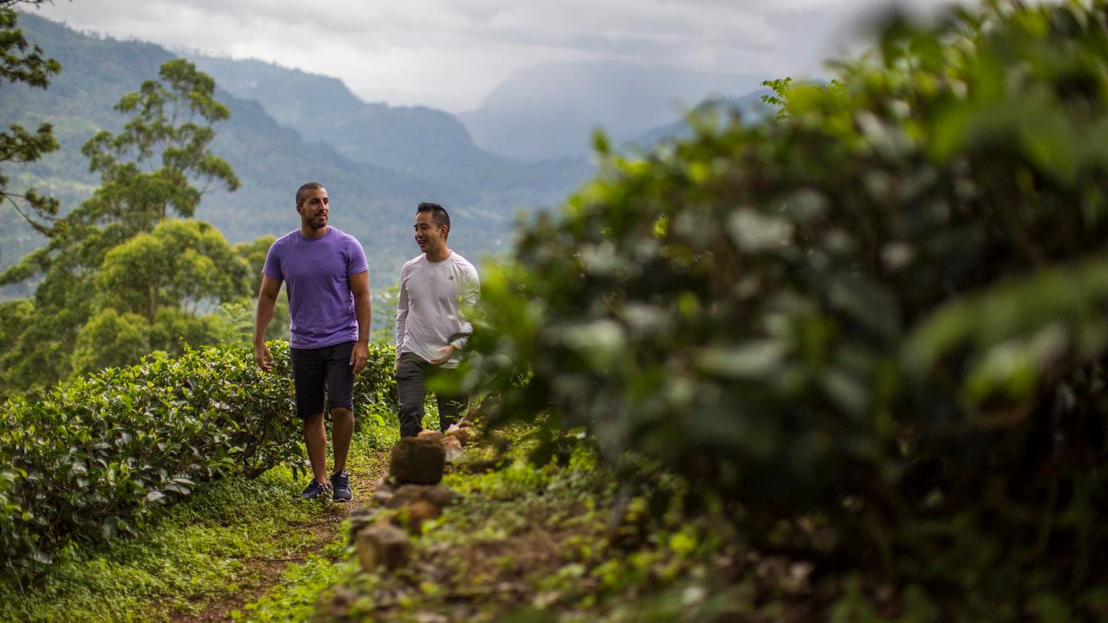 Banner image of Journeys: Discover Sri Lanka